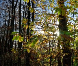DSC_2673_DxO